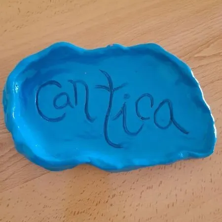 Tica *